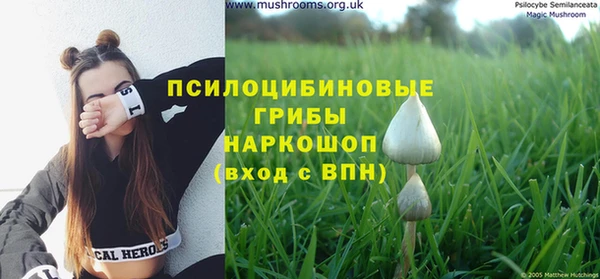 соль курить ск Белокуриха