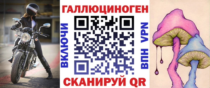 Псилоцибиновые грибы Psilocybine cubensis  Волгореченск 